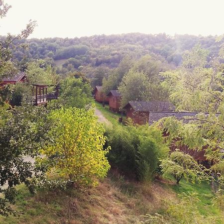 הוילה Saint-Cyprien-sur-Dourdou La Ferme Du Duzou מראה חיצוני תמונה