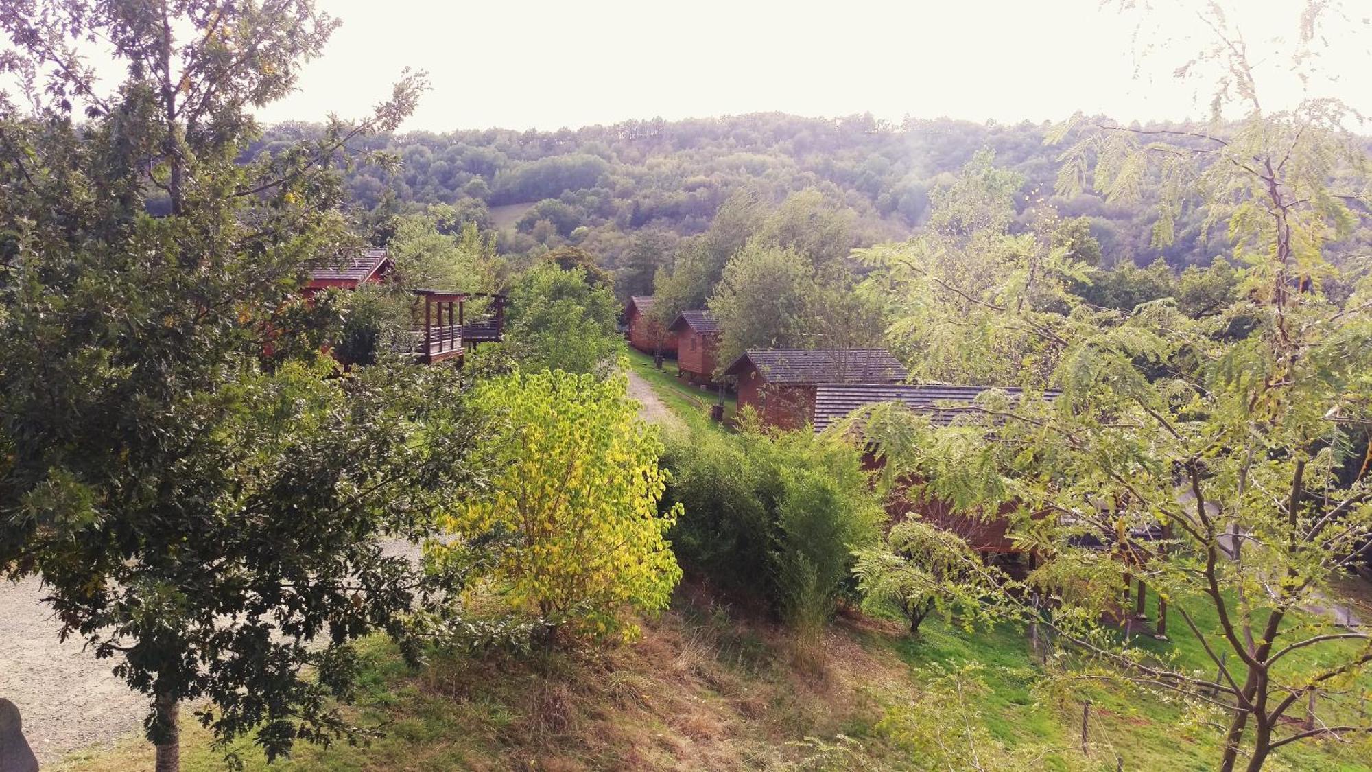 הוילה Saint-Cyprien-sur-Dourdou La Ferme Du Duzou מראה חיצוני תמונה